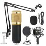 BM 800 Professional Condenser Microphone