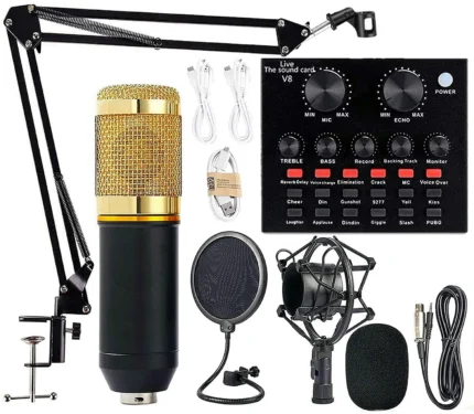 BM 800 Professional Condenser Microphone