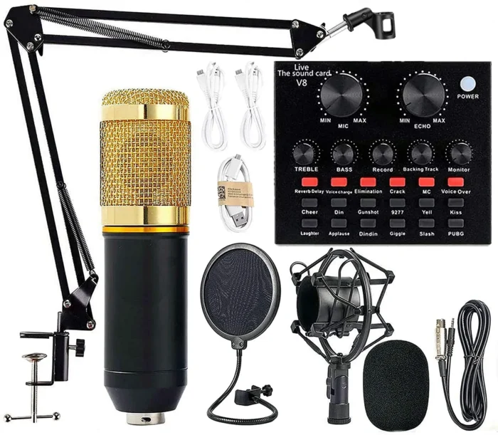 BM 800 Professional Condenser Microphone