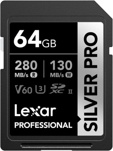 lexar 64g professional